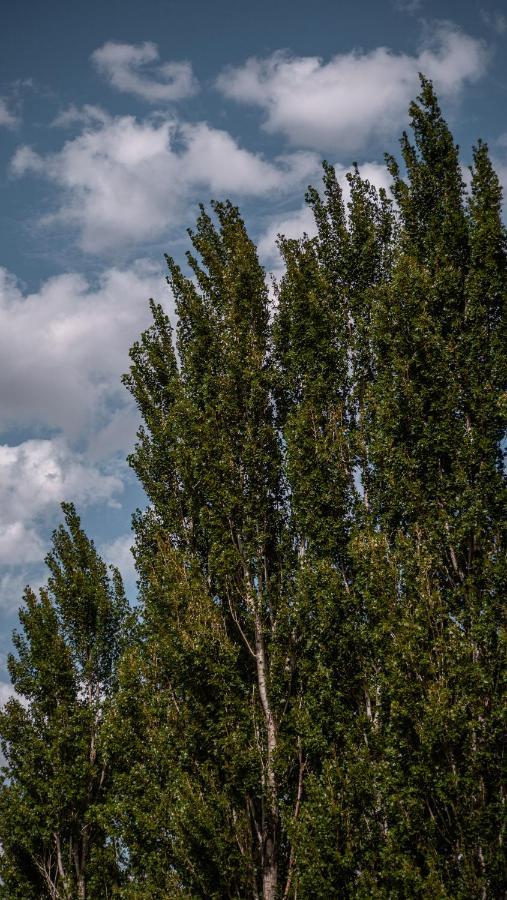 Pampas Del Sur Hotel Y Spa De Campo Cañuelas Eksteriør bilde