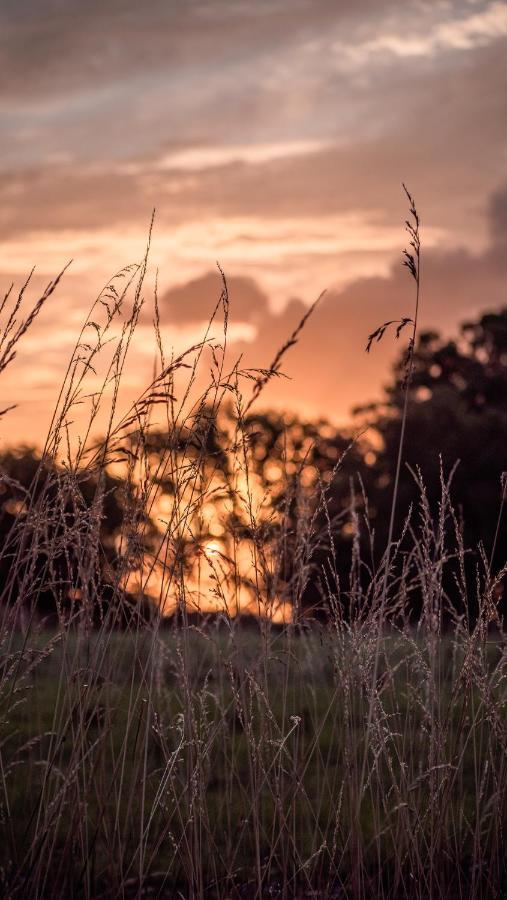 Pampas Del Sur Hotel Y Spa De Campo Cañuelas Eksteriør bilde