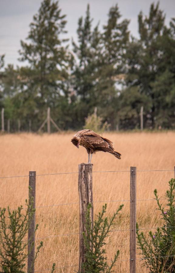 Pampas Del Sur Hotel Y Spa De Campo Cañuelas Eksteriør bilde